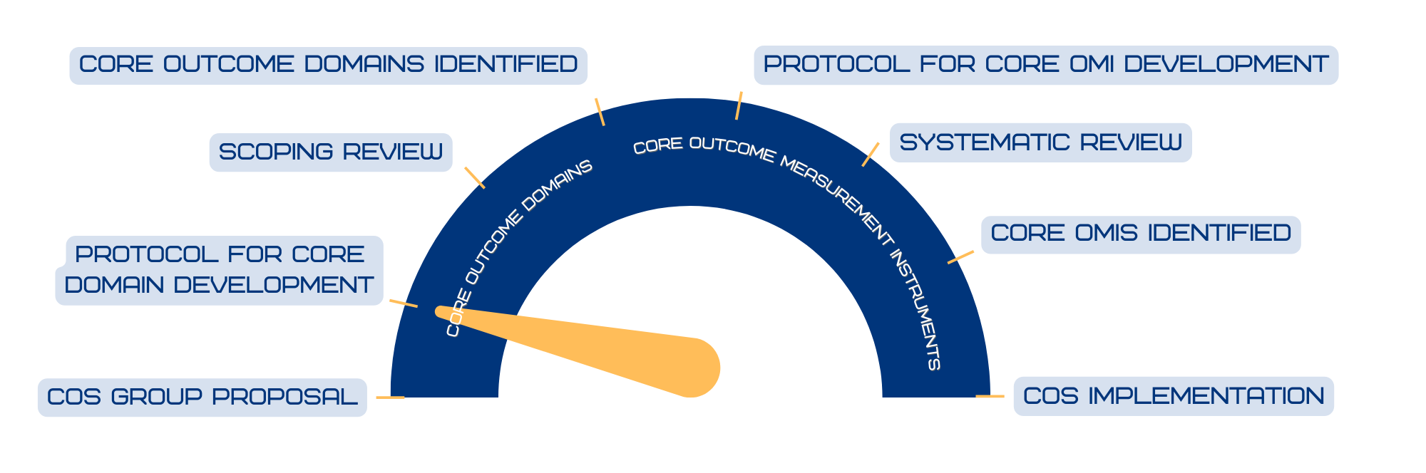 COS Progress Meter Phase: Protocol for Core Domain Development