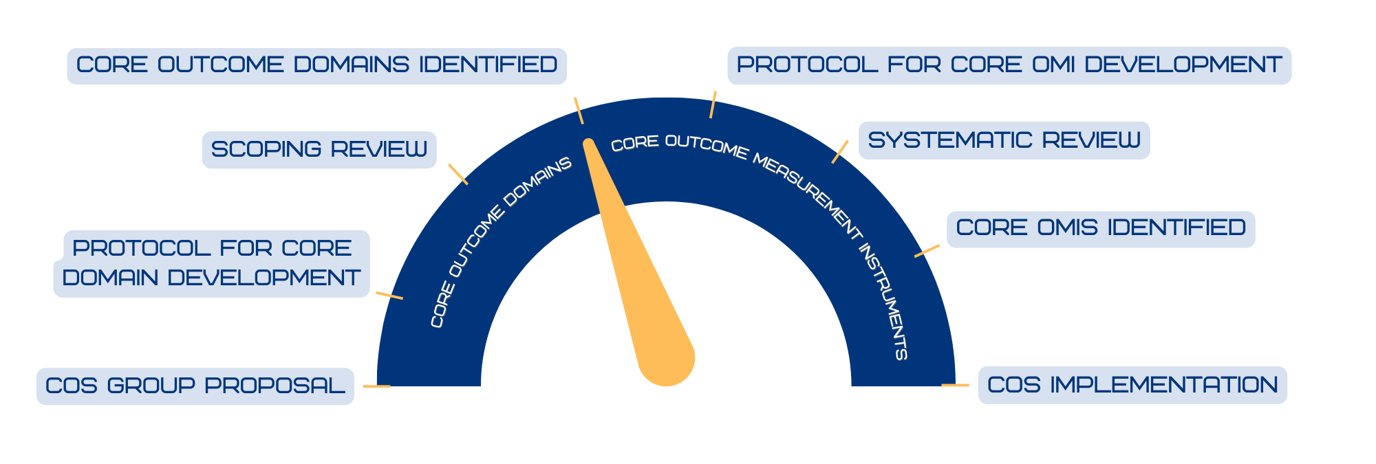 COS Progress Meter Phase: Core Outcome Domains Identified