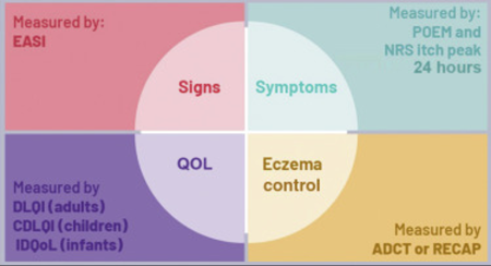 HOME Core outcome domains and instruments