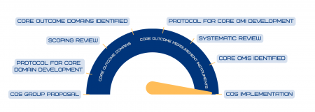 COS Progress Meter Phase: COS Implementation